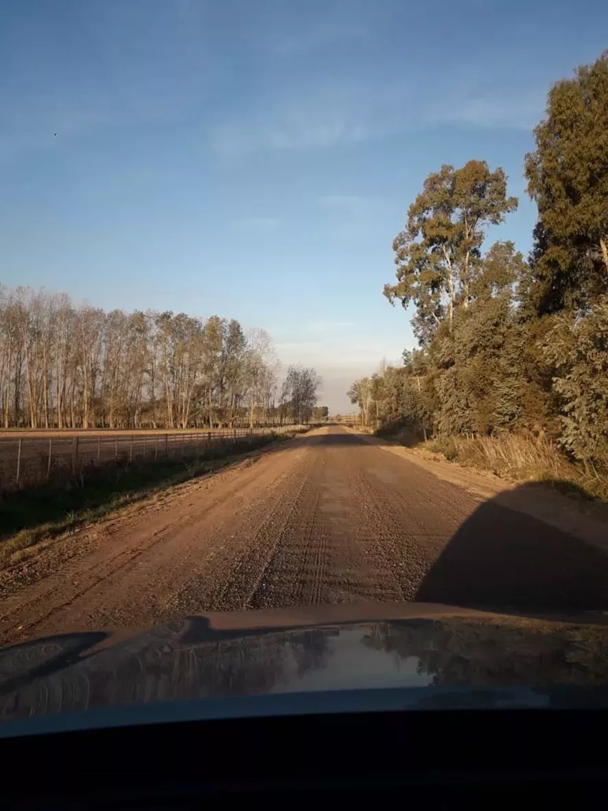 camino