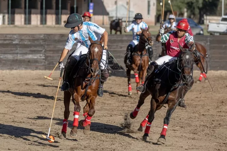 EN -rena polo