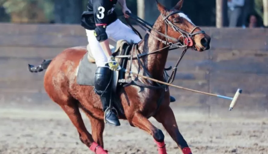 20230428091706_polo-en-arena-3-696x597