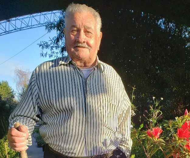 tucci vivero
